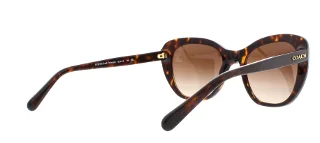 Coach Sunglasses HC8204 L1631
