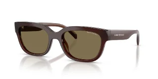 837373 Shiny Opal Brown