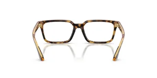 Versace Eyeglasses VK3015U