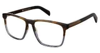 C03 Brown Horn