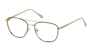 1 Gold/Black