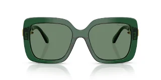 Swarovski Sunglasses SK6001