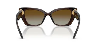 Swarovski Sunglasses SK6047