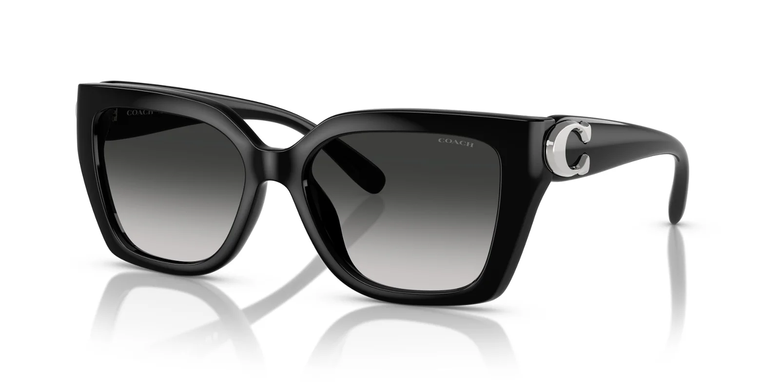 Coach Sunglasses HC8408U