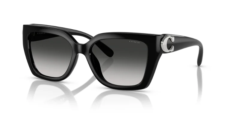 Coach Sunglasses HC8408U