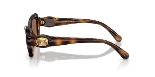 Swarovski Sunglasses SK6050