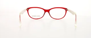 Dolce & Gabbana Eyeglasses DG3141