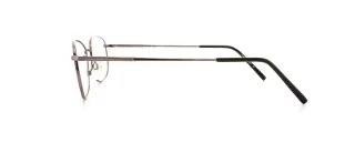 Flexon Eyeglasses 600