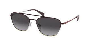 93418G Burgundy/Shiny Silver