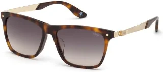 53B Blonde Havana