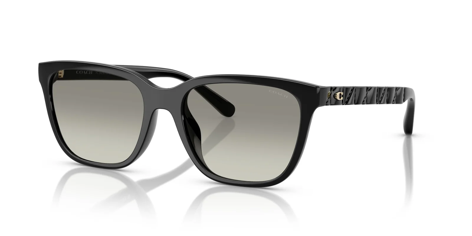 Coach Sunglasses HC8429D