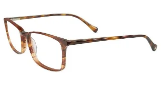 Brown Horn