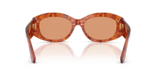 Dolce & Gabbana Sunglasses DG4502
