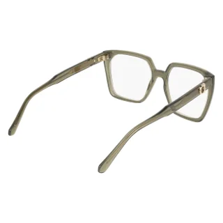 Salvatore Ferragamo Eyeglasses SF3042E
