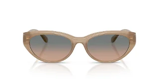 Coach Sunglasses HC8456D