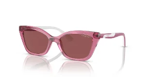 306569 Transparent Purple