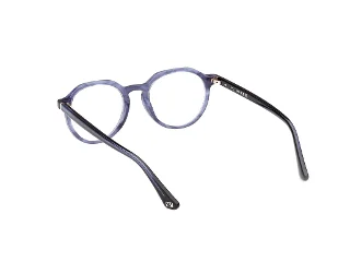 Web Eyeglasses WE5427