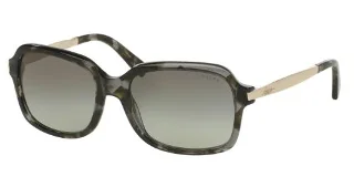 Ralph Sunglasses RA5202