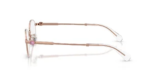 Swarovski Eyeglasses SK1028TD