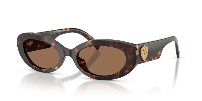 Dolce & Gabbana Sunglasses DG4537