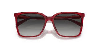 Michael Kors Sunglasses MK2197U