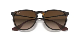 Ray Ban Sunglasses RB4171F Erika (F)