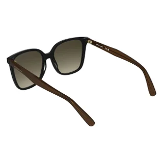 Longchamp Sunglasses LO807S