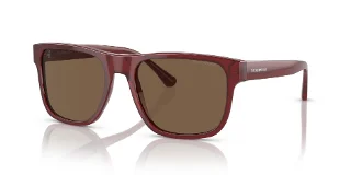 Emporio Armani Sunglasses EA4163
