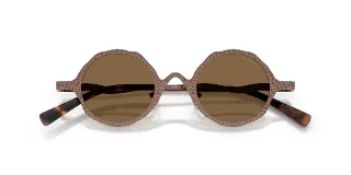 Emporio Armani Sunglasses EA2166