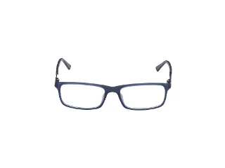Harley Davidson Eyeglasses HD0151T