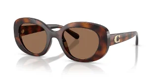 512073 Dark Tortoise