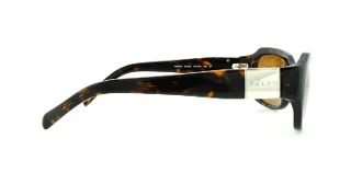 Ralph Sunglasses RA5049