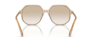 Swarovski Sunglasses SK6003F
