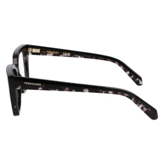 Salvatore Ferragamo Eyeglasses SF3010