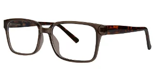 grey/tortoise