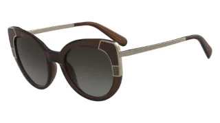 Salvatore Ferragamo Sunglasses SF890S