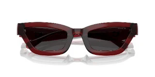 Coach Sunglasses HC8420U