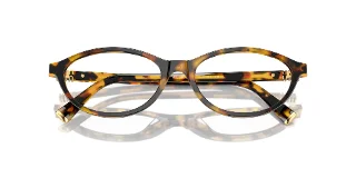 Miu Miu Eyeglasses MU09XV