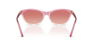 Swarovski Sunglasses SK6070