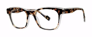 Modern Art Eyeglasses A631