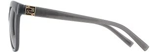 INVU Sunglasses INVU- 288