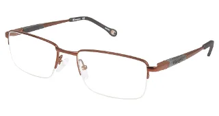 C03 Brown