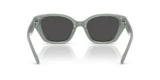 Coach Sunglasses HC8434U