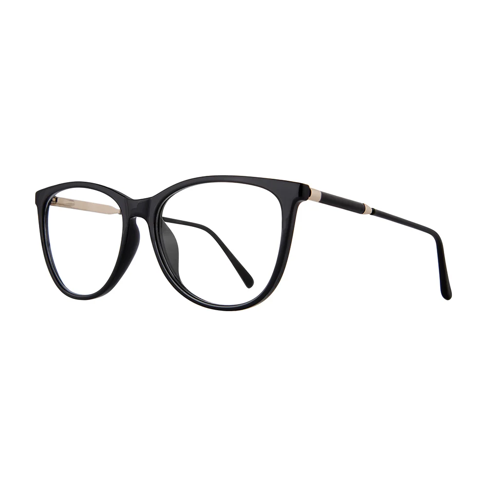 Stylewise Eyeglasses SW462