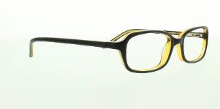 Polo Eyeglasses PP8502