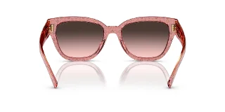 Coach Sunglasses HC8379U