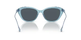 Swarovski Sunglasses SK6010