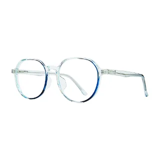 Stylewise Eyeglasses SW459