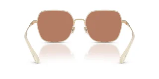 Coach Sunglasses HC7180D