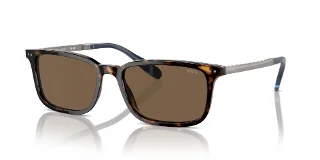 500373 Shiny Dark Havana